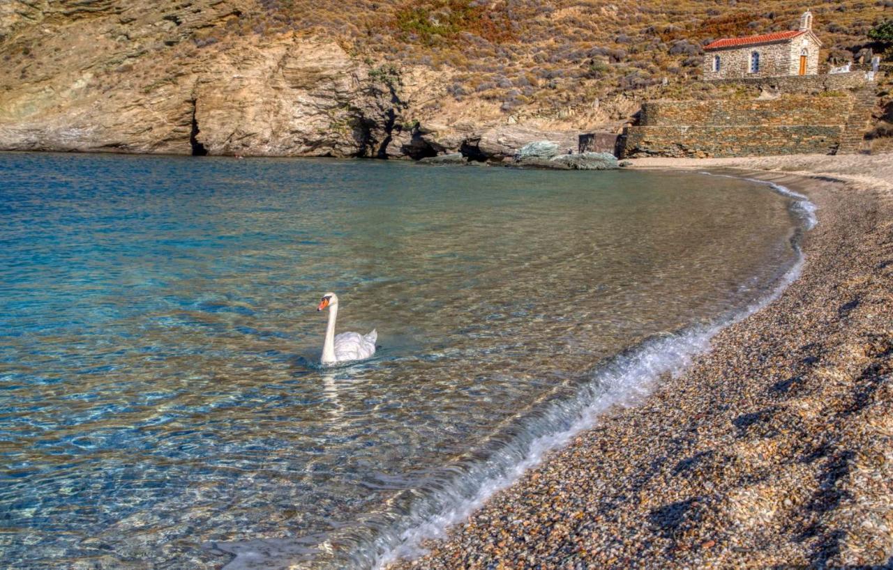 Andros Guesthouses Extérieur photo